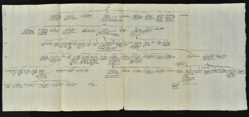 whatsapp image 2026 02 10 at 11.09.13 whatsapp image 2026 02 10 at 11.09.13